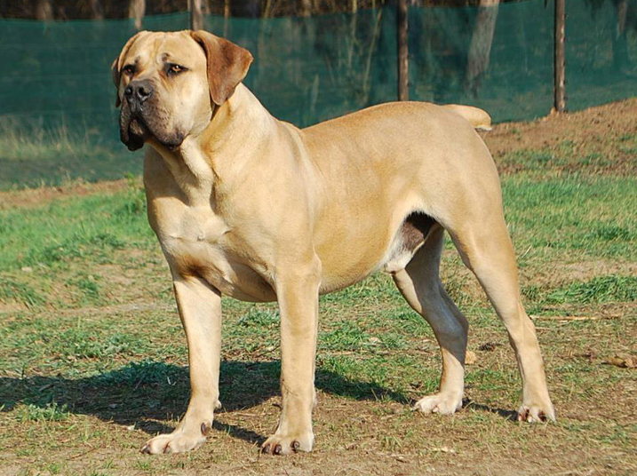 Olaf from South Afrika